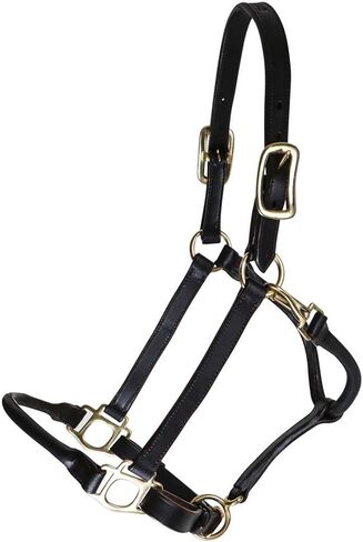 Billy Royal Paris Rolled Nose Leather Halter for Horses | 3/4" Grade A Leather | Rolled Noseband for Fine Heads | Brass Hardware | Fully Adjustable Fit in Saudi Arabia