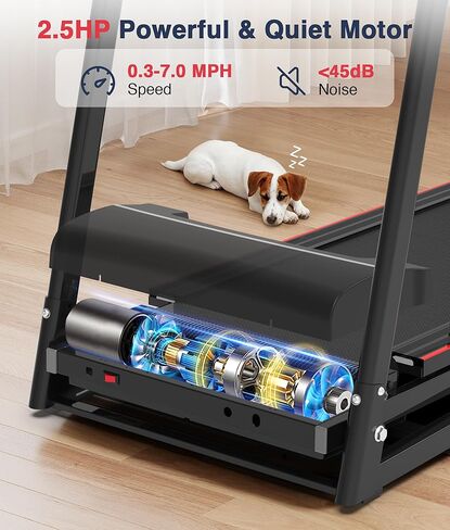 جهاز مشي ريدليرو لكبار السن قابل للطي - جهاز مشي كبير بسعة 400 رطل مع درابزين أمامي وطويل، جهاز تمارين اللياقة البدنية لاستعادة المنزل بنسبة 0%-2% لكبار السن، حزام طويل 47.6 بوصة in Kuwait