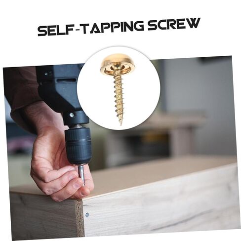 8Pcs Decorative Cap Screws for Mirror Fixing Brass Screws with Caps for Furniture Bathroom Panels and Artwork Durable Easy to Install in Saudi Arabia