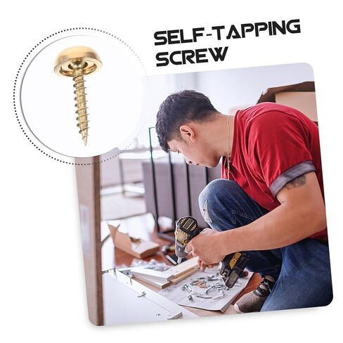 8Pcs Decorative Cap Screws for Mirror Fixing Brass Screws with Caps for Furniture Bathroom Panels and Artwork Durable Easy to Install in Saudi Arabia