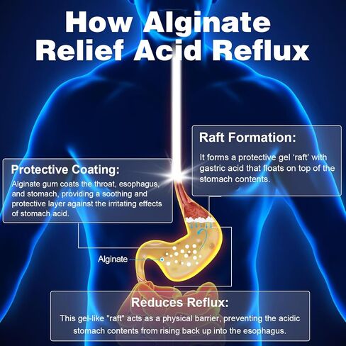 ألجينات الصوديوم من كيوبيت للارتجاع الحمضي - بدون مذاق ومذاق جيد، سهل البلع، للارتجاع الصامت وحرقة المعدة وعسر الهضم - حاجز طوف الذواقة على المعدة - 60 كبسولة نباتية in Kuwait