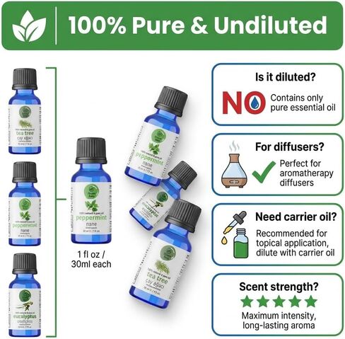 مجموعة الزيوت العطرية للناشر - شجرة الشاي والنعناع والأوكالبتوس، زيوت عطرية نقية 100% غير مخففة، 1 أونصة سائلة لكل منها، 3 عبوات in Kuwait