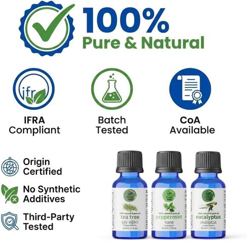 مجموعة الزيوت العطرية للناشر - شجرة الشاي والنعناع والأوكالبتوس، زيوت عطرية نقية 100% غير مخففة، 1 أونصة سائلة لكل منها، 3 عبوات in Kuwait