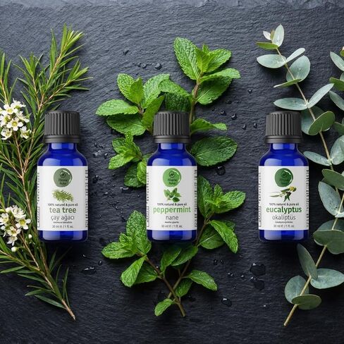 مجموعة الزيوت العطرية للناشر - شجرة الشاي والنعناع والأوكالبتوس، زيوت عطرية نقية 100% غير مخففة، 1 أونصة سائلة لكل منها، 3 عبوات in Kuwait
