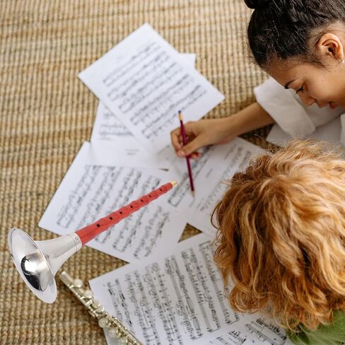 أداة Suona الخشبية المبتدئة D مفتاح أداة الرياح الصينية التقليدية مع القصب وحقيبة واقية لممارسة الموسيقى العرقية، لون عشوائي in Kuwait