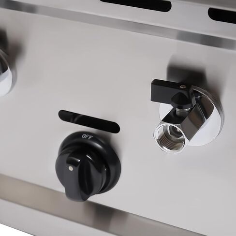 Pasta Cooker, Commercial Stainless Steel Pasta Maker, Adjustable Temperature, LPG/NG, for Home Kitchen Restaurant in Saudi Arabia