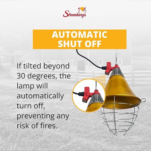 Stromberg's Heat Lamp with Safety Switch, Stainless Steel, Chicken Coop, Reptiles, Piglets, Infrared Light, Baby Lambs, Baby Goats, Newborn Livestock, Puppies, 250W, 6.5 Foot Cord in Kuwait