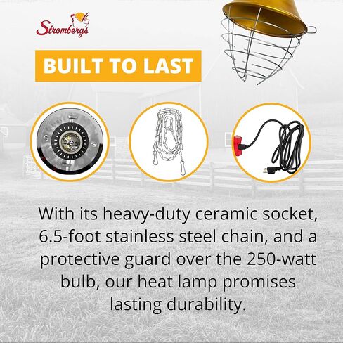 Stromberg's Heat Lamp with Safety Switch, Stainless Steel, Chicken Coop, Reptiles, Piglets, Infrared Light, Baby Lambs, Baby Goats, Newborn Livestock, Puppies, 250W, 6.5 Foot Cord in Kuwait