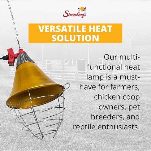 Stromberg's Heat Lamp with Safety Switch, Stainless Steel, Chicken Coop, Reptiles, Piglets, Infrared Light, Baby Lambs, Baby Goats, Newborn Livestock, Puppies, 250W, 6.5 Foot Cord in Kuwait