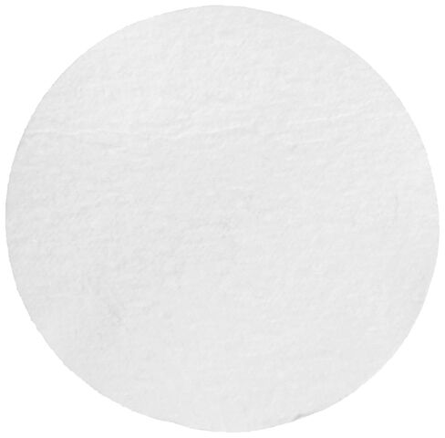 Whatman 1823-025 Glass Microfiber Binder Free Filter, 2.7 Micron, 2.2 s/100mL Flow Rate, Grade GF/D, 2.5cm Diameter (Pack of 100) in Saudi Arabia