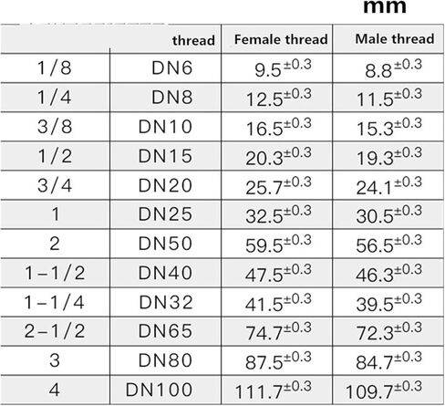 Brass Pipe Hex Head End Cap Fitting Male Thread 1/8"-1"(Male,1 PCS-1/8") in Kuwait
