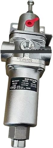 B38P-442-A1MA 1/2NPT برغي الموضوع الفولاذ المقاوم للصدأ تصفية صمام تخفيض الضغط in Kuwait
