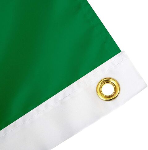 Desert Cactus University of North Texas UNT Flag - 3 x 5 Feet Green Banner, Indoor/Outdoor Durable Fabric, 100% Polyester Design (Style 1) in Saudi Arabia