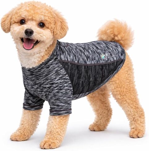 Pet Life ® Active 'Warf Speed' تي شيرت Heathered Dog للياقة البدنية واليوجا للحيوانات الأليفة ملابس للكلاب - تي شيرت عالي الأداء للكلاب مزود بتكنولوجيا قابلة للتمدد في 4 اتجاهات وعاكسة وسريعة الجفاف - قمصان صيفية للكلاب in Kuwait