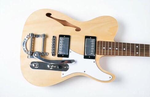 RSW DIY Electric Guitar Kit, Semi-Hollow Body DIY Electric Guitar Builder Kit Project Mahogany Unfinished New Single Cutaway in Saudi Arabia