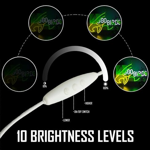 Eagle Go Birds Neon Signs for Wall Decor,Go Birds LED Neon Light Up Sign for Man Cave、Dormitory、Bedroom，Gifts for Teen Boys、Teenage Girls、Game Player in Saudi Arabia
