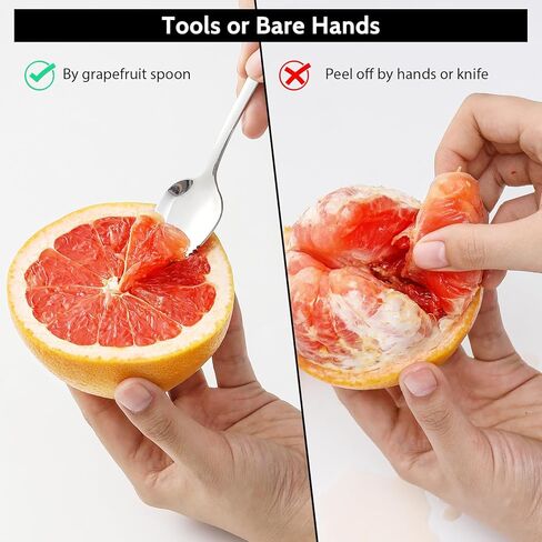 Hiware 4-piece Grapefruit Spoons and Grapefruit Knife, 18/8 Stainless Steel in Kuwait