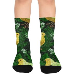 Rainbow Chick Green Hiking Socks - Toddler Boys & Girls Warm Thick Thermal Winter Crew Socks for School, Daily Wear & Outdoor Activities in Kuwait