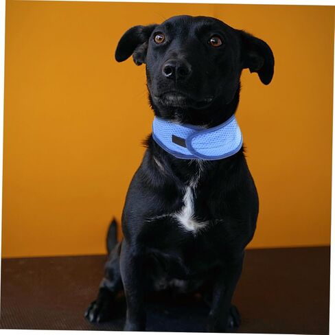 BESPORTBLE Dog Cooling Collar Lightweight PVA Bandana for Pets Reusable and Portable Cooling for Outdoor Activities Keeps Dogs Cool Hot Weather in Saudi Arabia