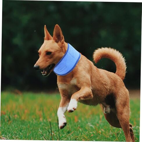 BESPORTBLE Dog Cooling Collar Lightweight PVA Bandana for Pets Reusable and Portable Cooling for Outdoor Activities Keeps Dogs Cool Hot Weather in Saudi Arabia