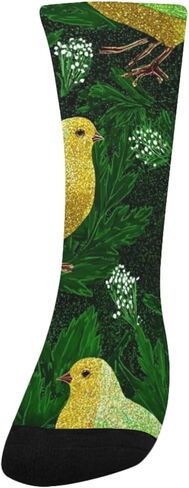 جوارب Rainbow Chick Green للمشي لمسافات طويلة - جوارب شتوية حرارية سميكة دافئة للأطفال الصغار للأولاد والبنات للمدرسة، والارتداء اليومي والأنشطة الخارجية in Kuwait