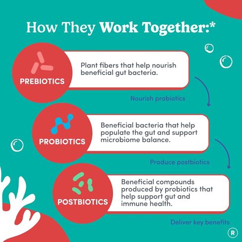 اليوم الأول علكة تريبيوتيك للأطفال الصغار (الأعمار 2-3 سنوات) | علكات بروبيوتيك للأطفال | 3 في 1 Pre + Pro + Postbiotics لصحة الجهاز الهضمي والمناعي للأطفال - الكيوي، 60 قطعة (كمية تكفي لمدة 30 يومًا) in Kuwait