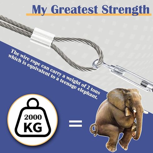 حبل سلكي بطول 200 قدم، مجموعة حبل سلكي 1/5 بوصة، كابل من الفولاذ المقاوم للصدأ 304، حبل كابل طائرة بطول 7 × 19 لتعريشة ملابس Zipline في الفناء in Kuwait