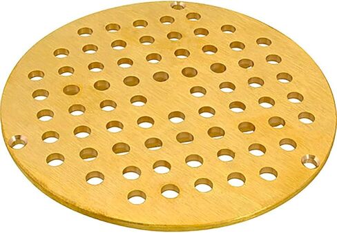 Allpoints B2950952 8 in. 1021083 Drain Grate - Floor in Saudi Arabia