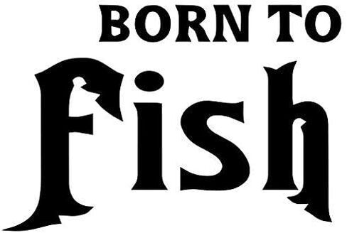 Born to Fish Fishing Sportsman - Sticker Graphic - Auto, Wall, Laptop, Cell, Truck Sticker for Windows, Cars, Trucks in Saudi Arabia