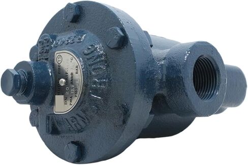 Steam Trap 880 Inverted Bucket Type Cast Iron Steam Trap Threaded Connection DN15 DN20 1.7MPa 232°C(DN15) in Saudi Arabia