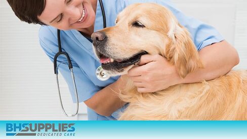 BH Supplies Pet Syringe with 23G Needle, 3ML Capacity, 1 Inch Length - 100 Pack in Kuwait