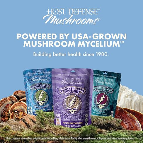 Host Defense Beary Well Grateful Dead Gummies - Mushroom Gummies with Agarikon, Turkey Tail, Chaga, Elderberry, Vitamin C & Zinc - Upper Respiratory System Health and Immune Support (30 Servings) in Saudi Arabia