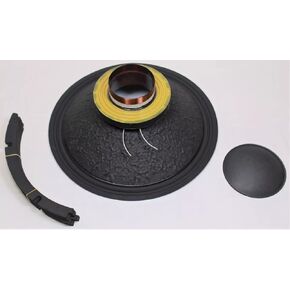 LASE Replacement FANE Colossus 18XB 18" Speaker Re-Cone Kit Assembled 8Ω in Kuwait