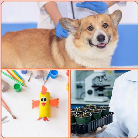 حقنة 1 مل 31 جرام 1/4 بوصة (6 مم) للمختبر والعلوم والسائل، مغلفة بشكل فردي، 100 عبوة in Kuwait