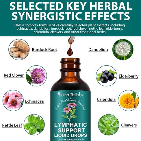 Lymphatic Drainage Drops, 21-in-1 Organic Lymphatic Drainage Supplement with Dandelion Extract, Zine, Burdock Extract,for Lymph System Support, Cleanse | Gluten-Free, 60ml in Kuwait