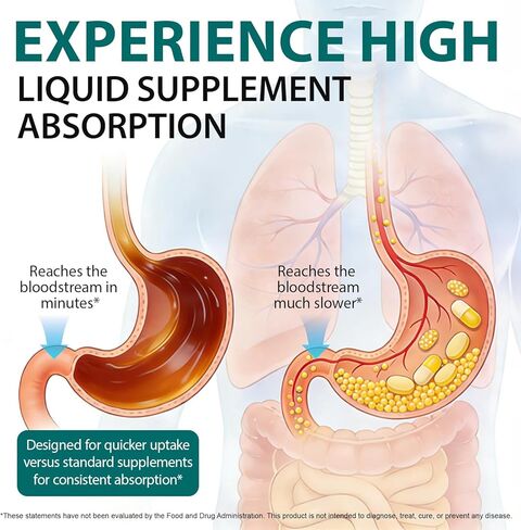 Lymphatic Drainage Drops, 21-in-1 Organic Lymphatic Drainage Supplement with Dandelion Extract, Zine, Burdock Extract,for Lymph System Support, Cleanse | Gluten-Free, 60ml in Kuwait