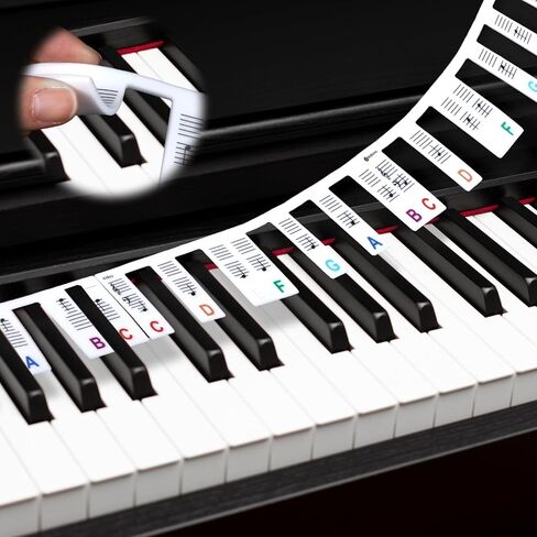 61 Key Colorful Piano Notes Guide Removable, 2 Pcs Silicone Piano Key Labels 35cm/50cm, Reusable Full Size Pianos Keyboard Stickers, Essential Pianos Accessories for Beginners in Saudi Arabia