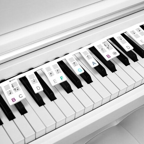 61 Key Colorful Piano Notes Guide Removable, 2 Pcs Silicone Piano Key Labels 35cm/50cm, Reusable Full Size Pianos Keyboard Stickers, Essential Pianos Accessories for Beginners in Saudi Arabia