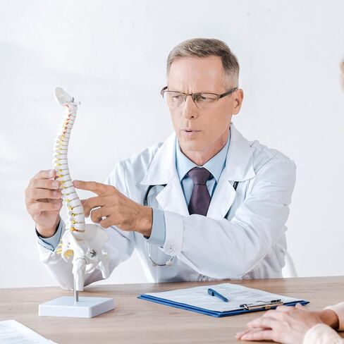 نموذج تشريح العمود الفقري الصغير - نموذج العمود الفقري البشري المصغر المرن مقاس 15.5 بوصة مع جميع الأعصاب للتعلم الطبي - لتعليم التدريس والدراسة والعرض in Kuwait