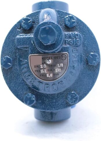 DN15 DN20 DN25 Steam Trap 681F Flanged Steam Trap Automatic Steam Trap 881 Threaded Inverted Bucket Steam Trap High Temperature(881 DN20) in Saudi Arabia