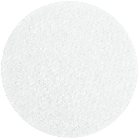Whatman 10370006 Glass Microfiber Filter with Inorganic Binder, 40 s/100mL Flow Rate, Grade GF 6, 11.0cm Diameter (Pack of 100) in Saudi Arabia
