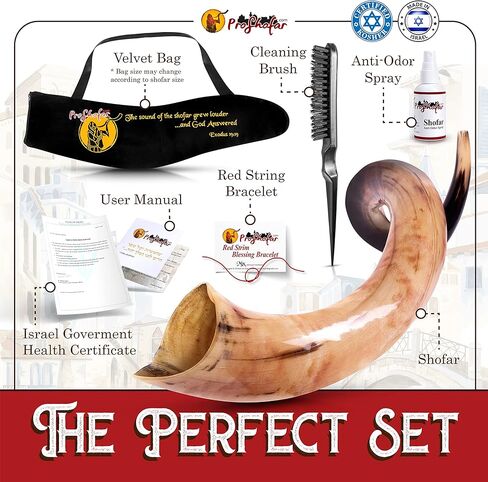 مجموعة كوشير شوفار مصقولة بالكامل من إسرائيل، كودو شوفار هورن، شهادة موقعة رسميًا، صنع في إسرائيل (16 بوصة - 20 بوصة) in Kuwait
