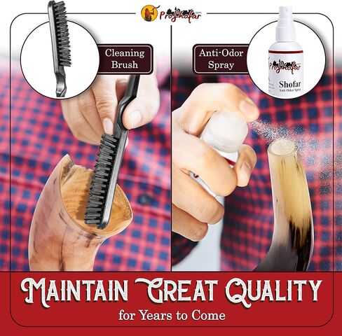 مجموعة كوشير شوفار مصقولة بالكامل من إسرائيل، كودو شوفار هورن، شهادة موقعة رسميًا، صنع في إسرائيل (16 بوصة - 20 بوصة) in Kuwait