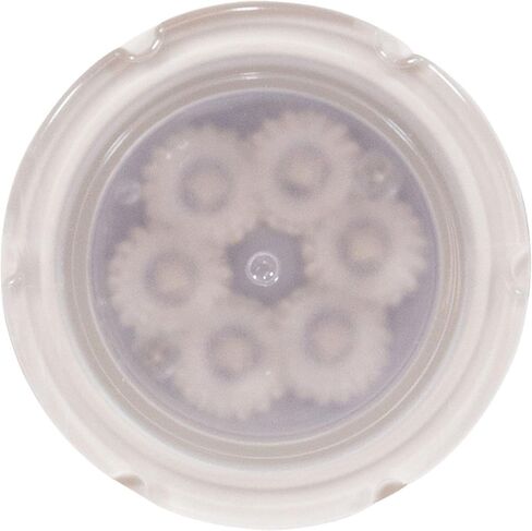 تريو ميني، مصباح حمام السباحة/المنتجعات متعدد الألوان، كابل/قابس 80 قدم 64-EGTSM-80 in Kuwait