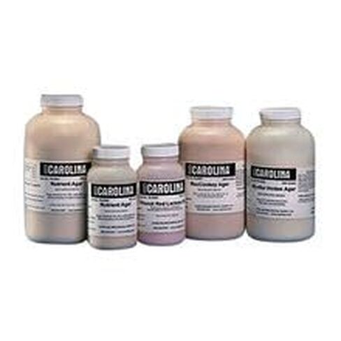 Nutrient Broth, Dehydrated Medium, 100 g in Kuwait