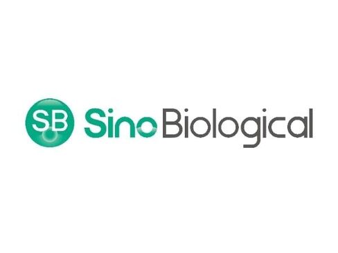 10518-MM01-100 - MAB Mouse IL3RA/CD123 01 Human 100 UL (لكل منهما) in Saudi Arabia