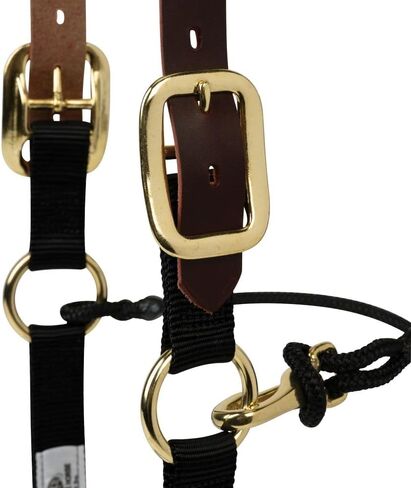 مجموعة من الرسن المنفصل من ويفر إكوين كالي كريكبيرج والنايلون والجلد والحبل للخيول in Kuwait