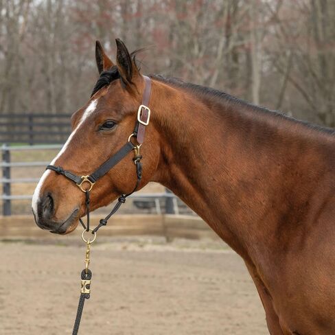 مجموعة من الرسن المنفصل من ويفر إكوين كالي كريكبيرج والنايلون والجلد والحبل للخيول in Kuwait