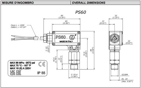 AR North America PS6001 Pressure Switch, Max 8700 PSI, Stainless Steel Body - for Use with High Pressure Pumps in Kuwait