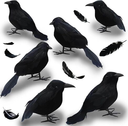 واقعية الغربان السوداء 6 قطع القوطية الحيوانات المحشوة الريش الطيور الغربان داخلي في الهواء الطلق زينة الحفلات لجميع القديسين in Kuwait